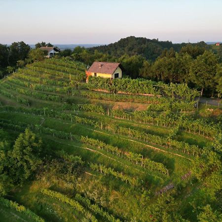 Adorable Guesthouse In The Middle Of Vineyards Ptujska Gora Exteriör bild