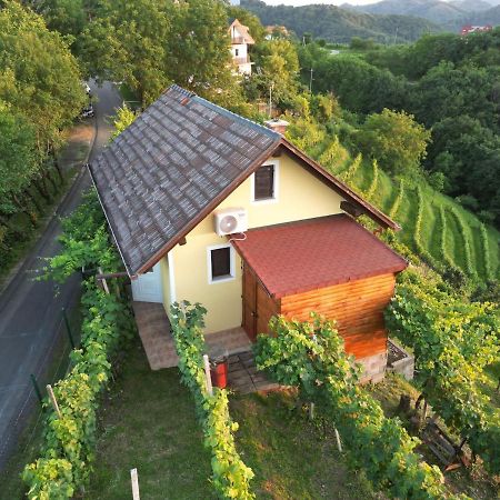 Adorable Guesthouse In The Middle Of Vineyards Ptujska Gora Exteriör bild