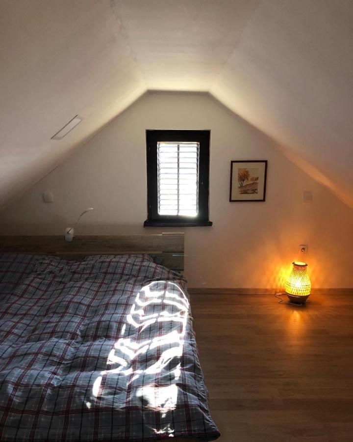 Adorable Guesthouse In The Middle Of Vineyards Ptujska Gora Exteriör bild