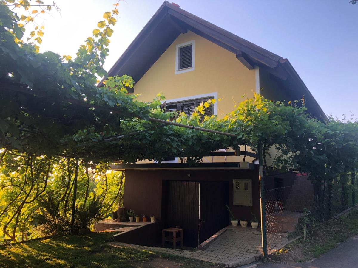 Adorable Guesthouse In The Middle Of Vineyards Ptujska Gora Exteriör bild